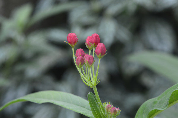 ������������Ӱͼ