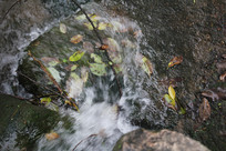 é�Ҳ���ˮ����ˢ��ʯ��