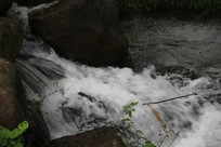 é�Ҳ�������С�ٲ�