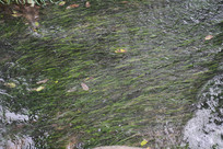 ����ˮ��