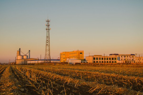 ũ����ҵ�����ź���