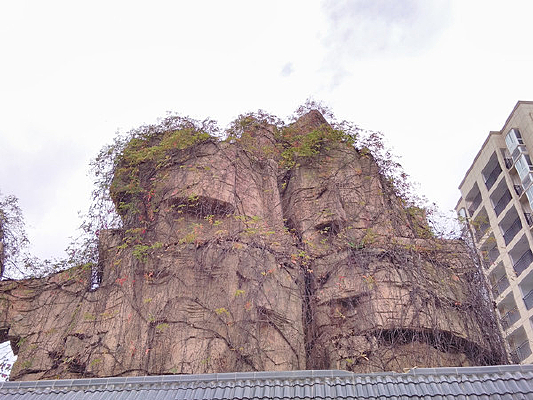 ������ɽ���µļ�ɽ