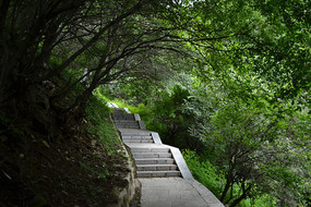 ɽ����꽹�̨��