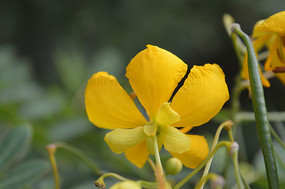 ˫�Ծ�������