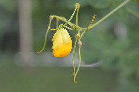 ˫�Ծ�������