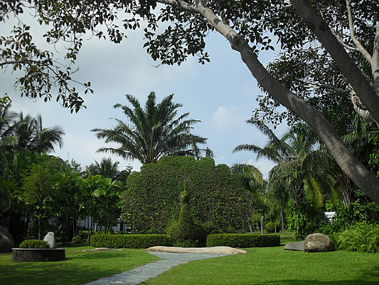 ��ȸ����