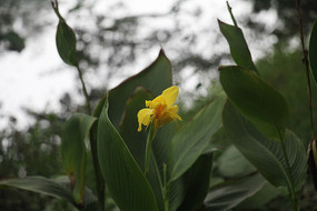 é�Ҳ������߰Ž�Ҷ