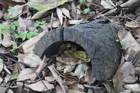 é�Ҳ���Ҷ���ƾ�����