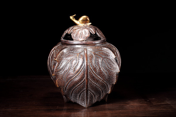 �����Ҷ��ͭѬ¯