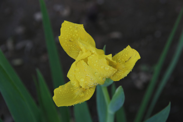 ʢ���ĺ�������