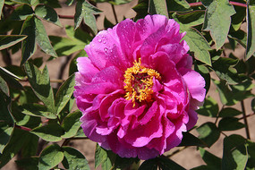 ���յ�ĵ����