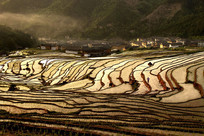 ������Ϫ