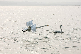 ��ˮ�����