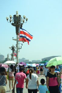 �ο������찲�ų�¥ǰ