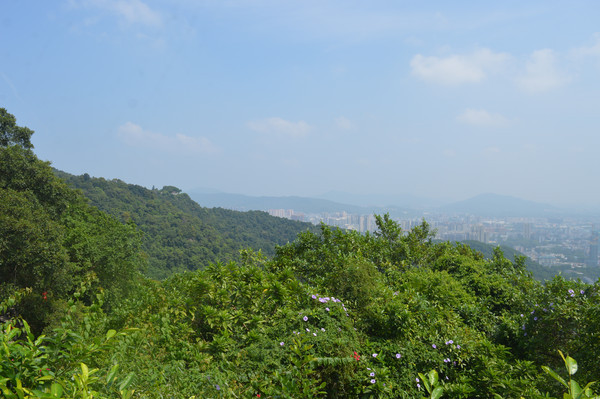 ����ɽԶ����ɫ