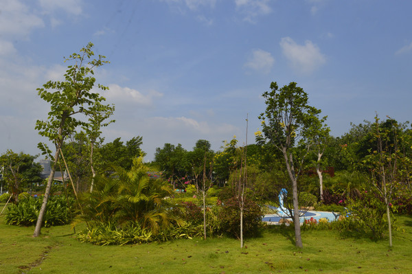 ��԰�����ݵ�