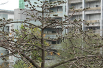 �����޻�