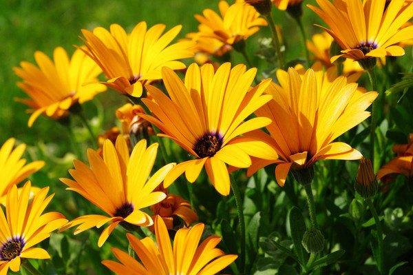 �����ض�