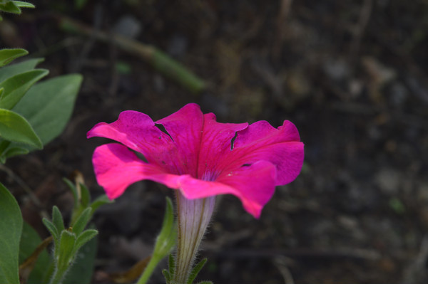 �쾰���ܺ�ɫ�̶���