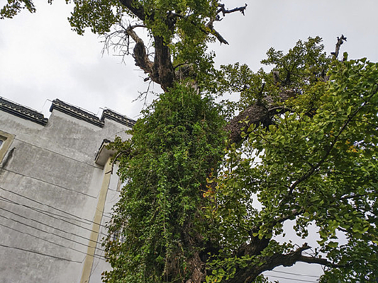 ����������