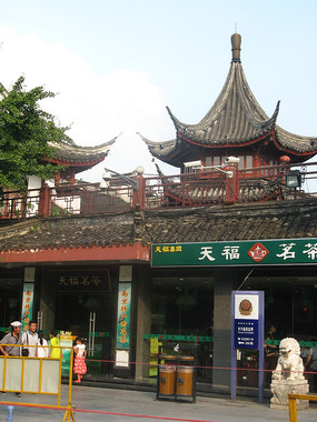 Ư��������ͤ����