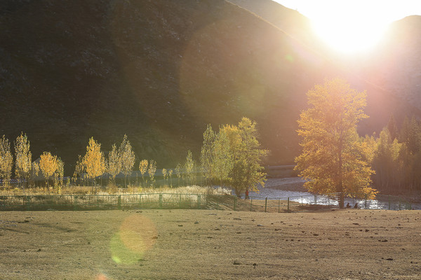 �＾��ľ��ƺ