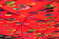 �ݶ��ϵ�С��ɡ