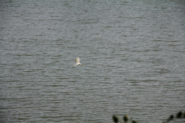 �����ˮ�Ϸ���