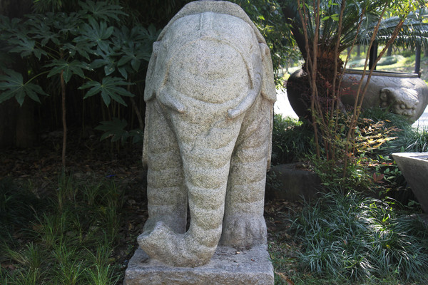 �������ʯ��