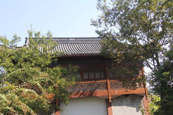 ���ﷻ�ŷ罨��