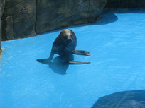 �������ߵĺ��� 