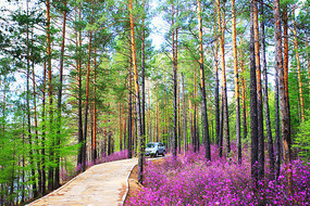 �ž�����С· 