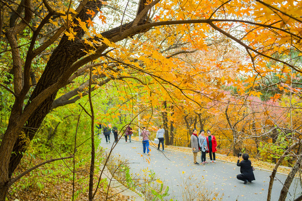 ������·��������