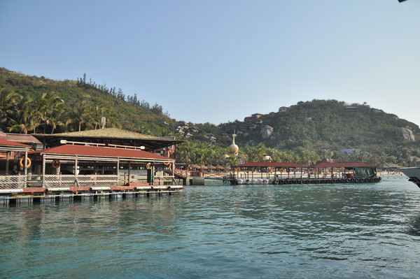 ��Ȼ����