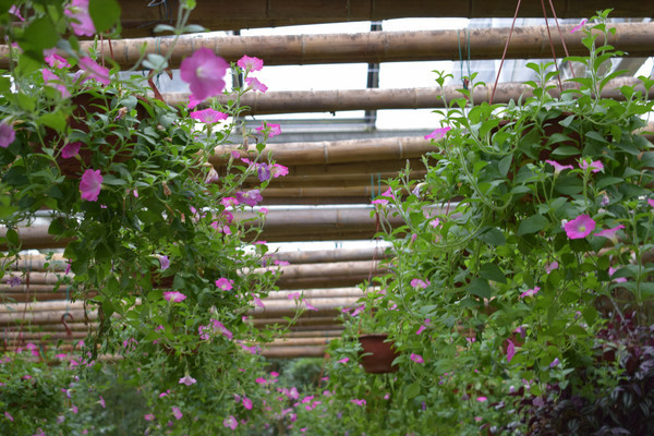 ���ľ���