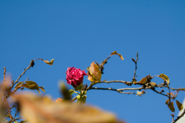 ����һ��ۻ�