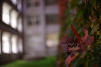 ��ҹ��Ĵ�ѧ��ѧ¥