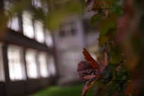 ��ҹ��Ĵ�ѧ��ѧ¥