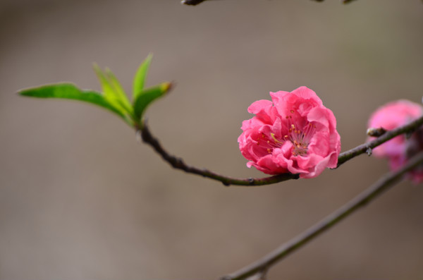 �һ�����