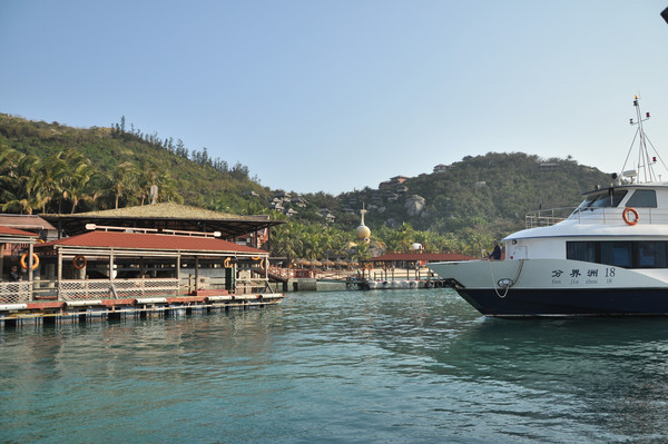 Զ���������