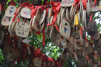 ����ɽ��԰������Ը��Ƭ