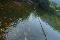 ����ɽ��԰����ˮ��