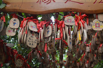 ����ɽ��԰��Ը����Ը����