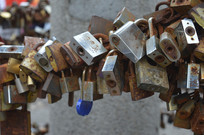 ����ɽĦ���밮����