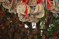 ����ɽԵ����忨Ƭ