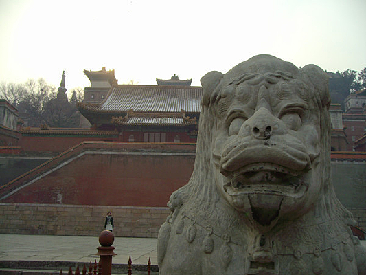 �����ú�԰�ĵ���