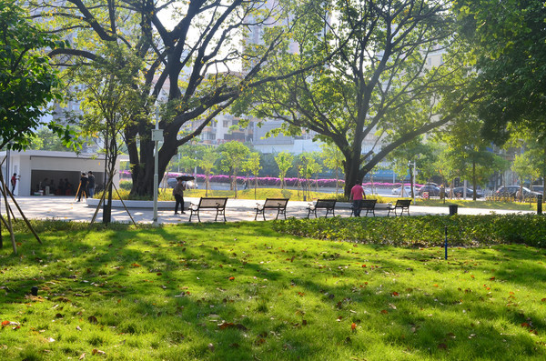 �ݵ������羰