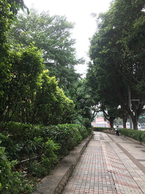 ��������·���е��̵�