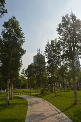 �����ж�ͯ��԰��·������