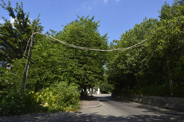 ����Ԫ�����·